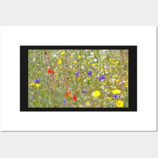 wild flowers meadow Posters and Art